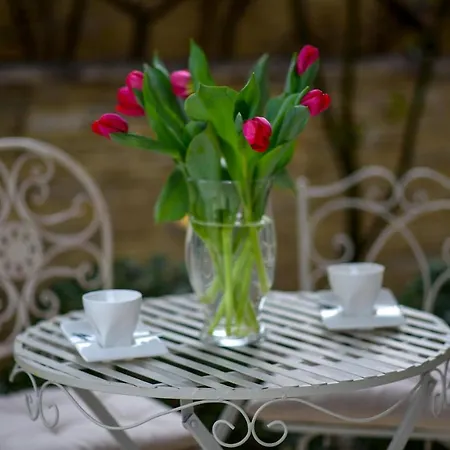 Apartment Melani Near Center Zadar